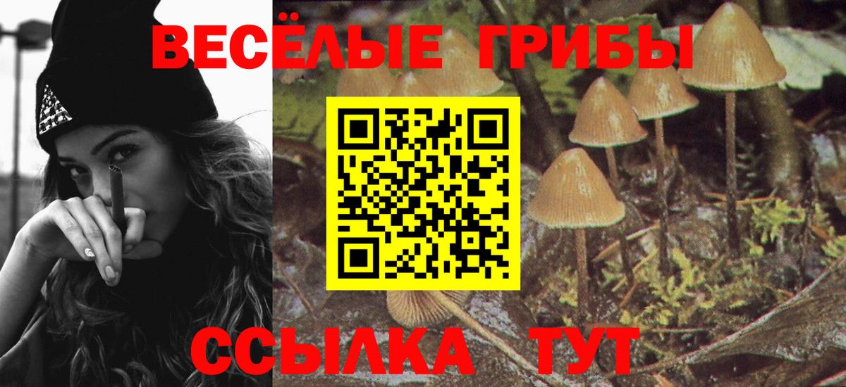 Галлюциногенные грибы мицелий Бердск
